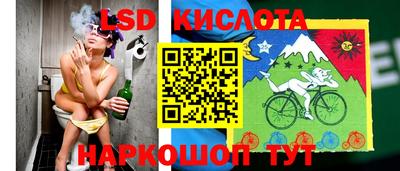 jwh Бийск
