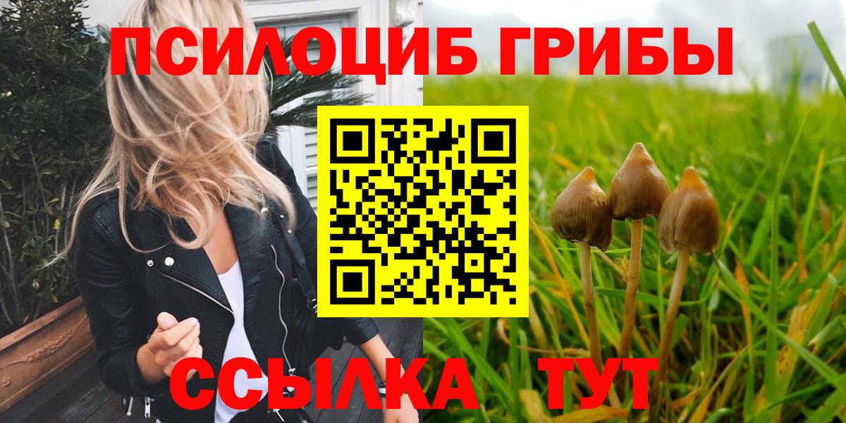 Галлюциногенные грибы Magic Shrooms Златоуст